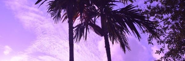 _Altaforra's profile banner image