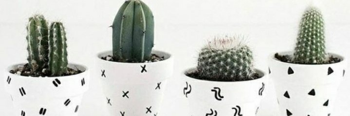 dhea_pb's profile banner image