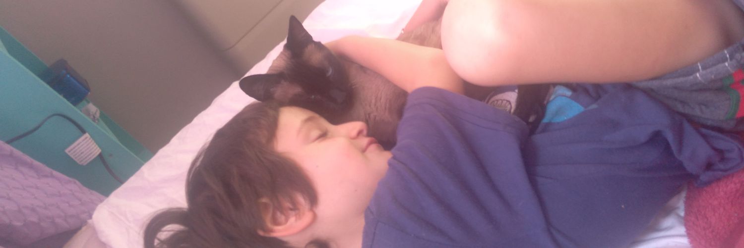 anitaremis88's profile banner image