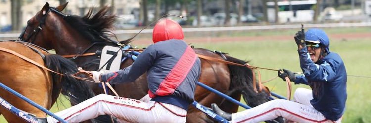 Gabriele Gelormini banner