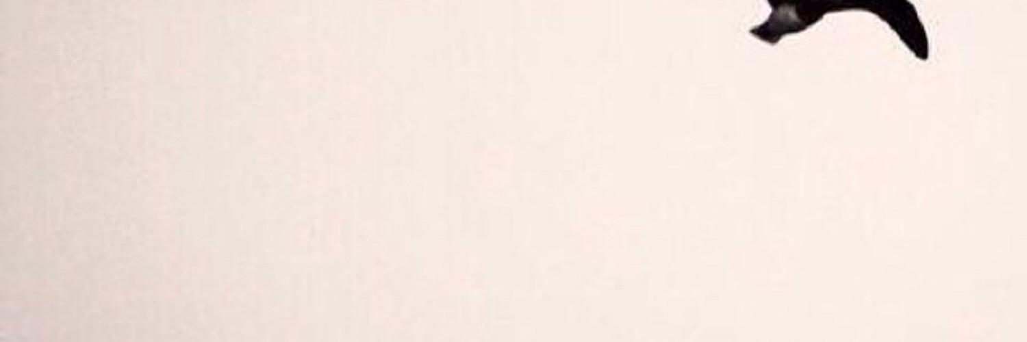 mstrb999's profile banner image