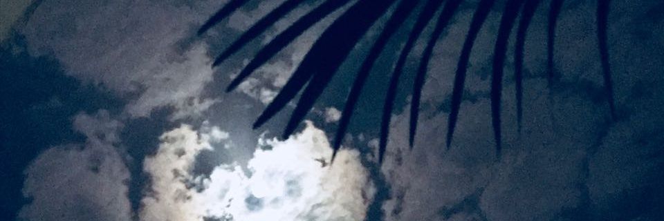sonisingh1406's profile banner image