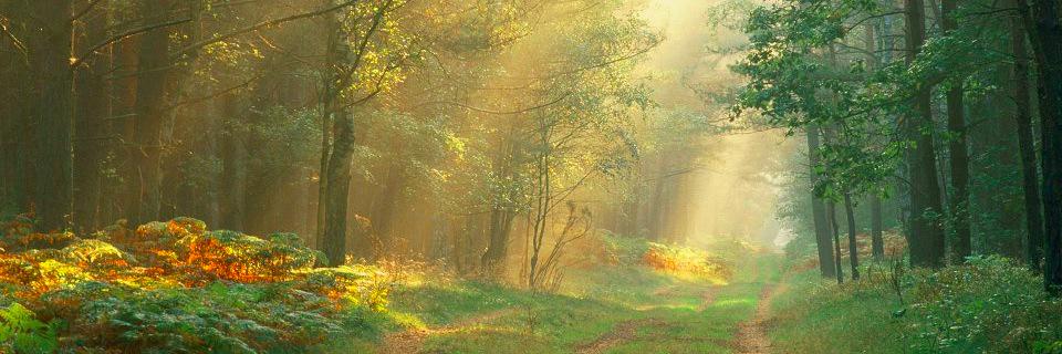 Deutsch_adel's profile banner image