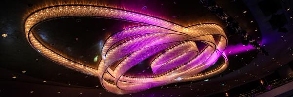 FrogPhoto Profile Banner