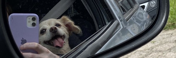 mxvih Profile Banner