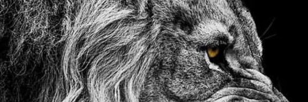 StephonTolon Profile Banner
