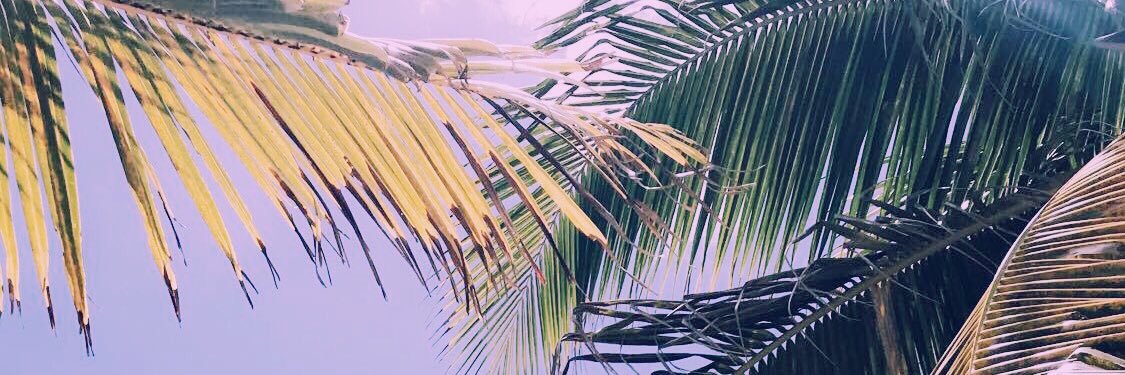 whitney_corbin's profile banner image