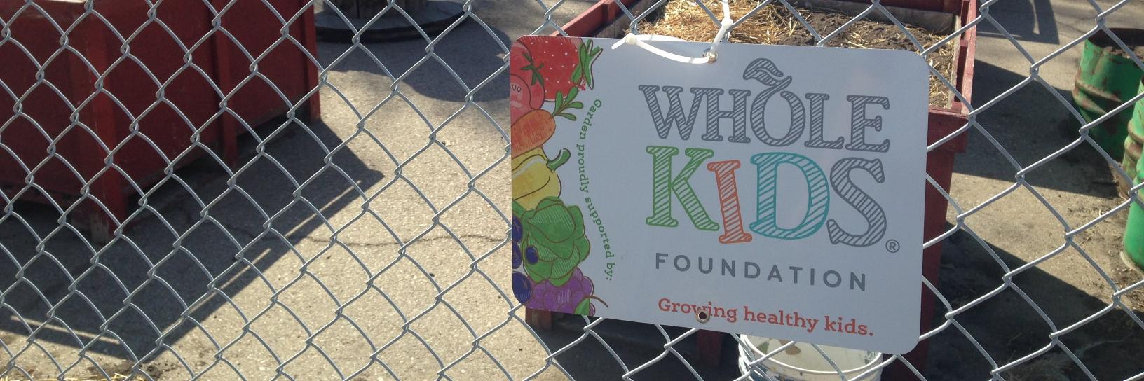 Phoenix Foundation banner