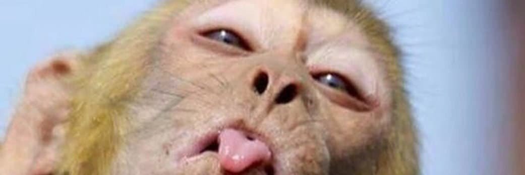 ImDwill's profile banner image