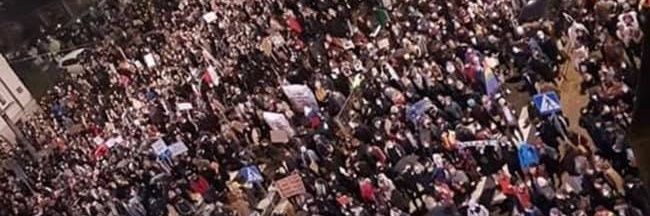 Paweł Skibiński banner