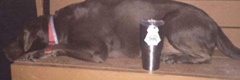 Jackson O'Keefe banner