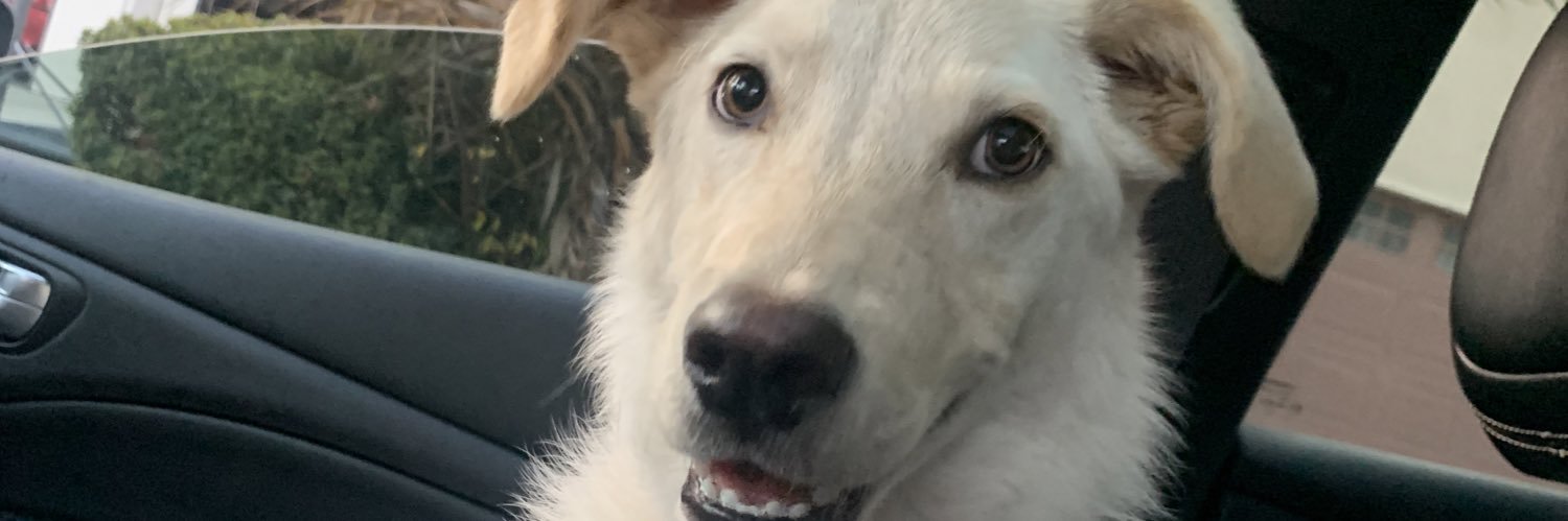 deandre_walt's profile banner image