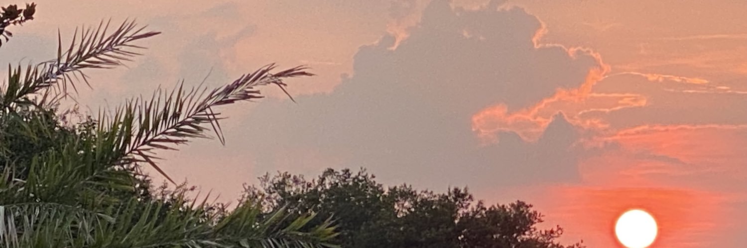 BerlinBeachKat's profile banner image