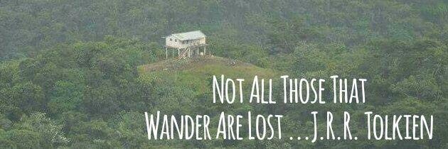 questionwander's profile banner image