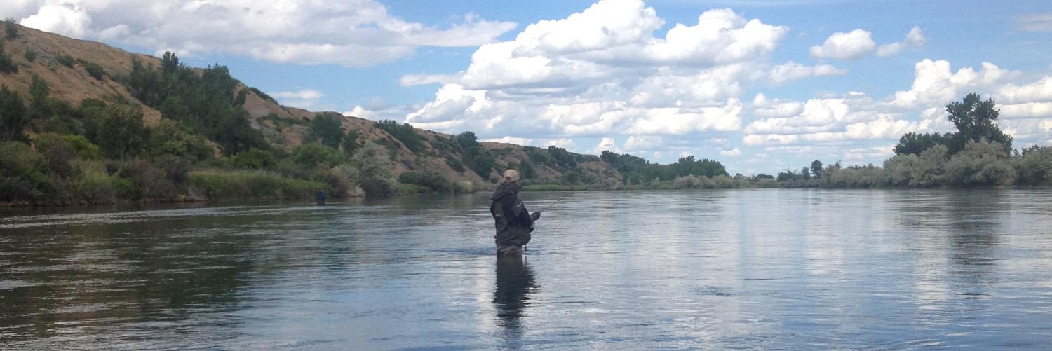 KSUFlyFishing's profile banner image