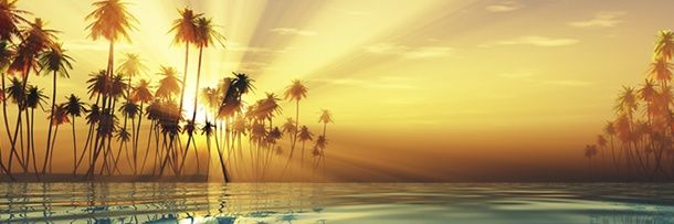 101_yoav's profile banner image