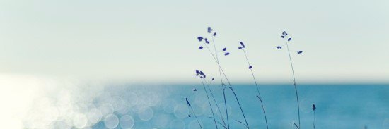 SZTpic___'s profile banner image