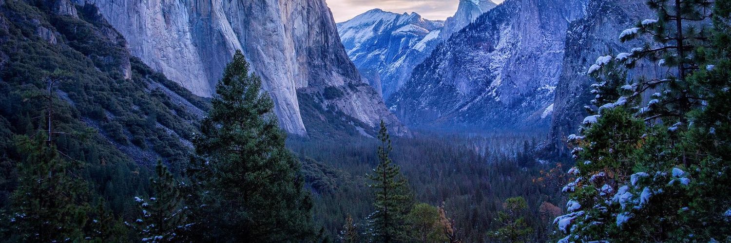 Prince Rutherford banner