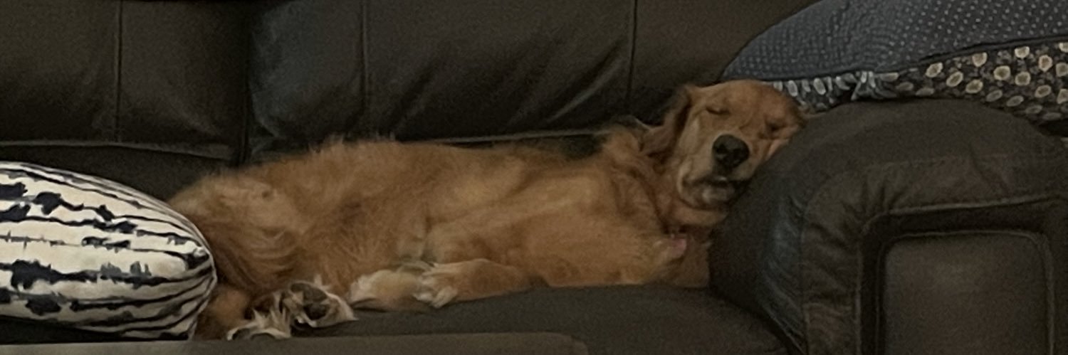 mollywruble's profile banner image
