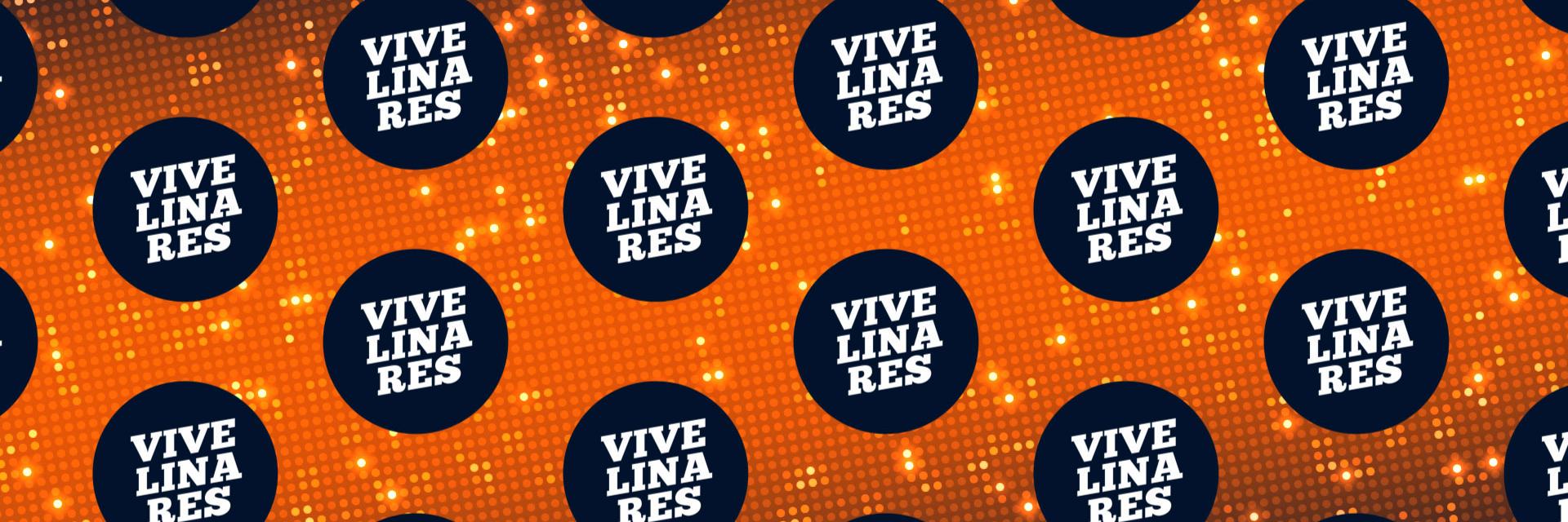 ViveLinaresCL's profile banner image