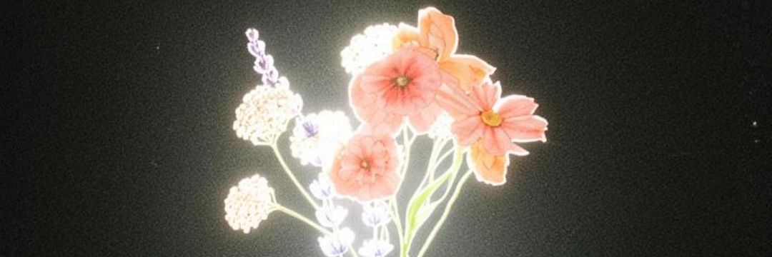 aisegule's profile banner image