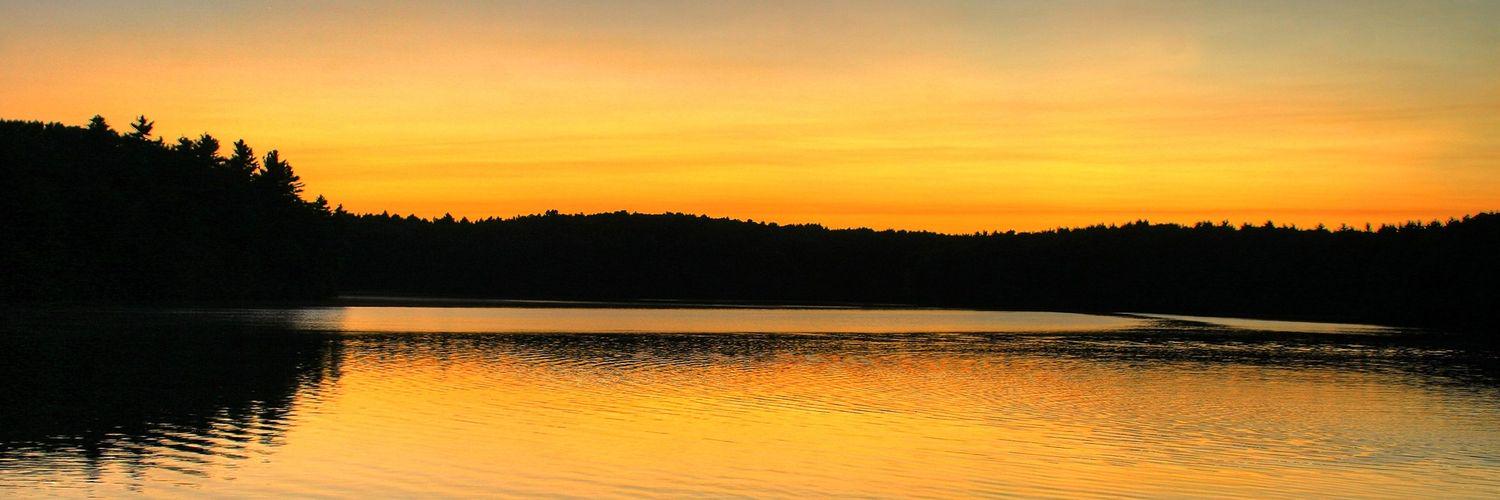 nickG31224's profile banner image