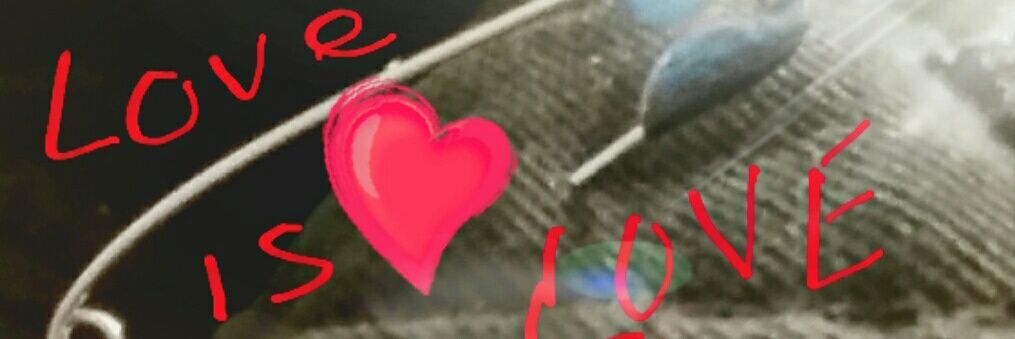 SandyDSilva's profile banner image