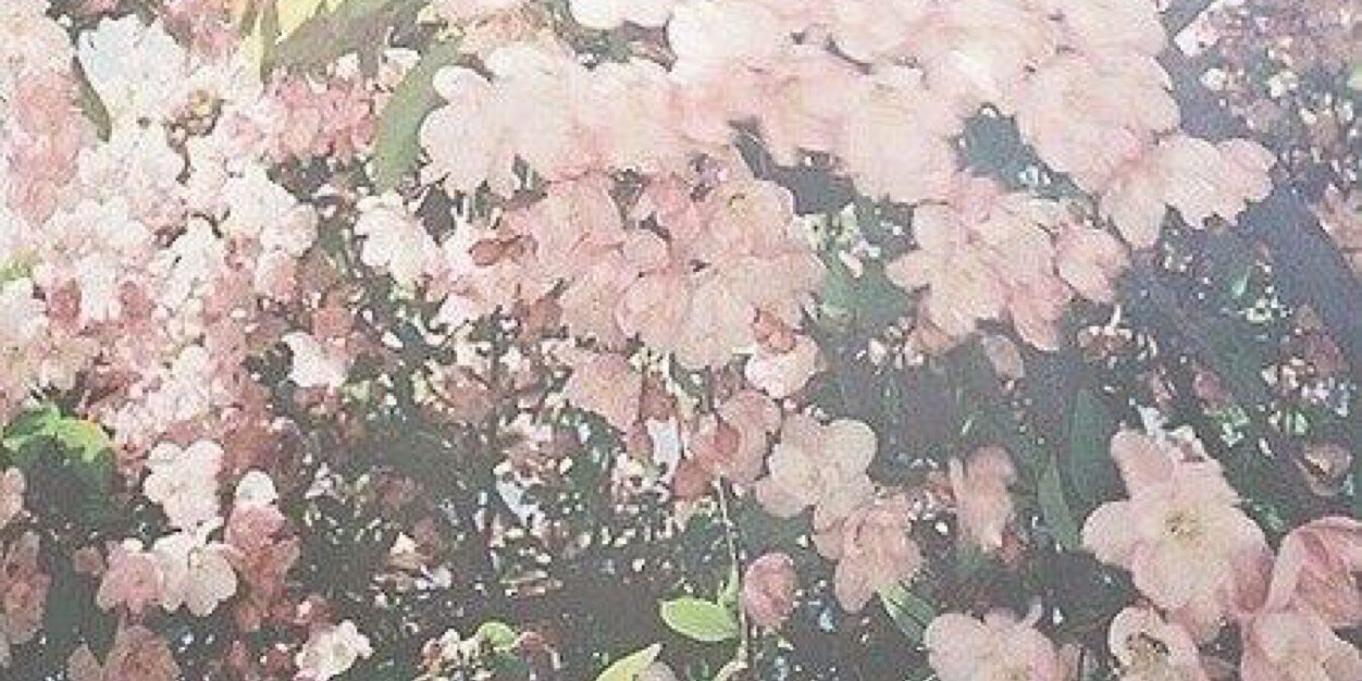 marievebelanger's profile banner image