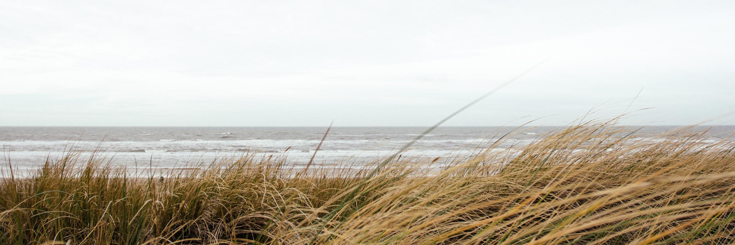 SouthCoastWebEvents banner