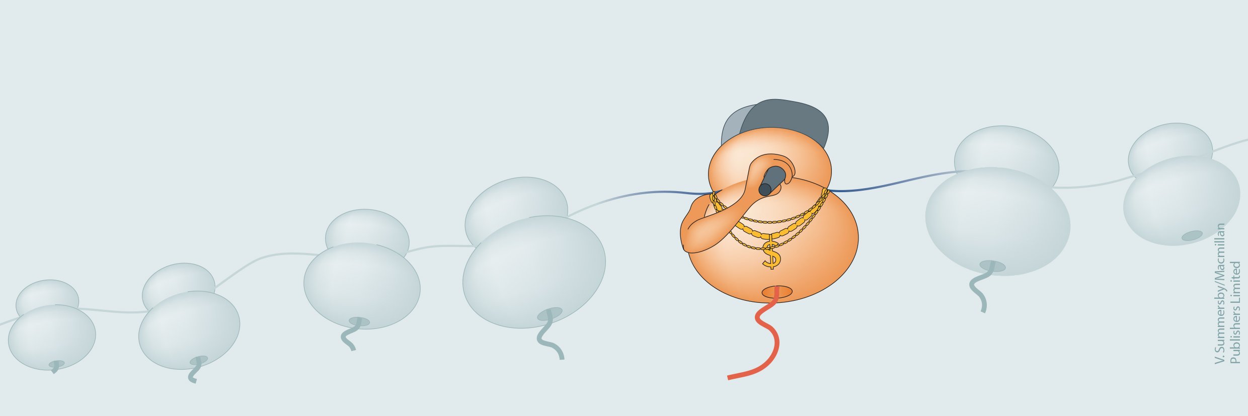Barna Lab's banner
