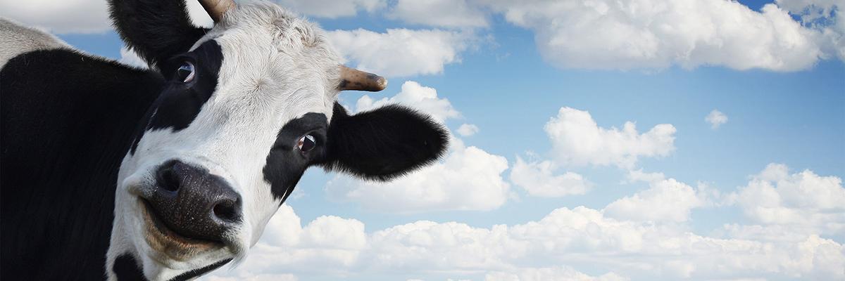 AgricShow's profile banner image