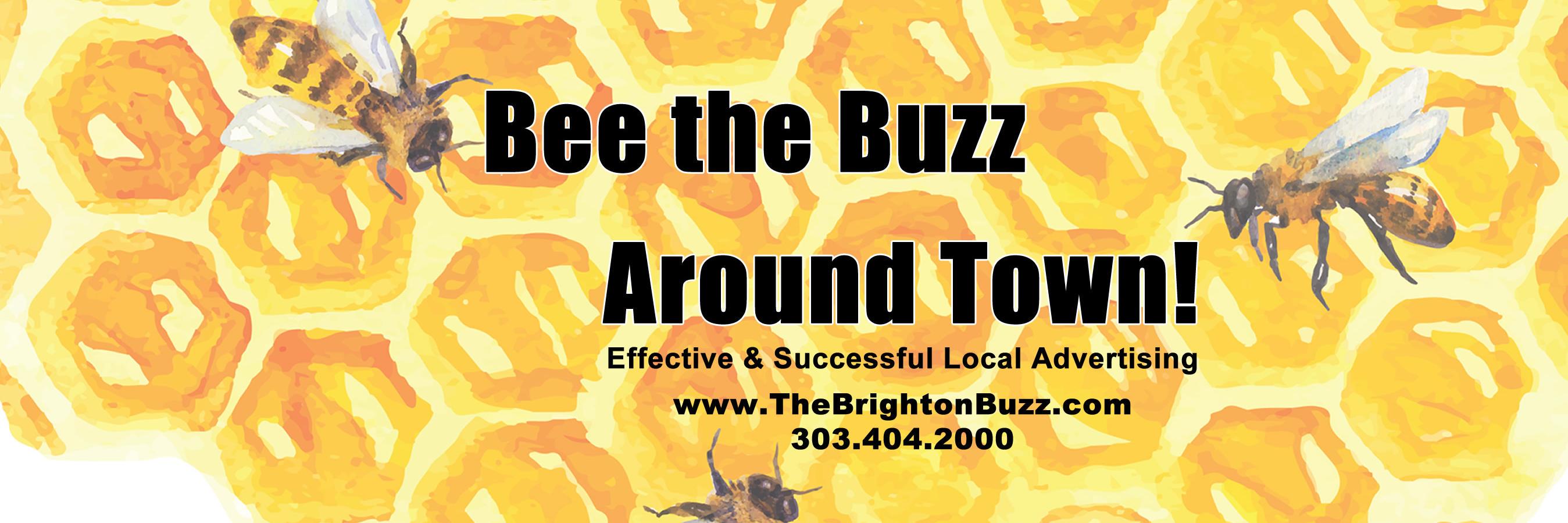 thebrightonbuzz's profile banner image