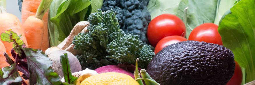 BioCultureFr's profile banner image