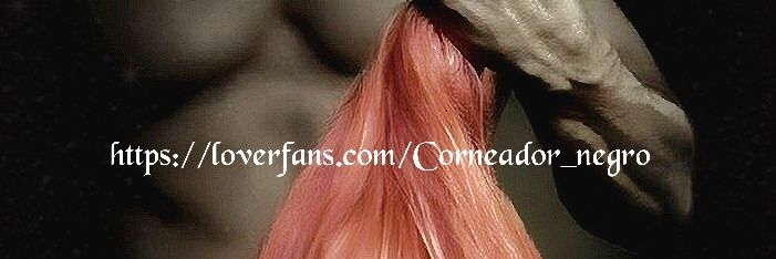 El Negro banner