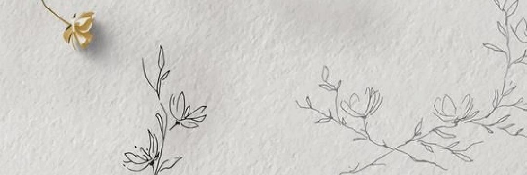 solia011's profile banner image