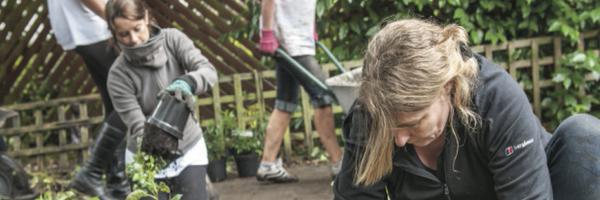 BluegreenLpool Profile Banner