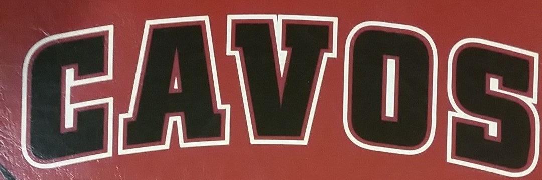 CavoVolleyball's profile banner image