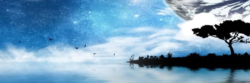 olpolo's profile banner image
