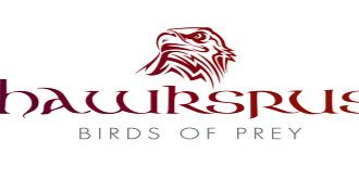 HawksUs's profile banner image