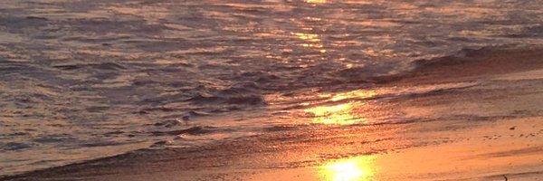 MacySwope Profile Banner