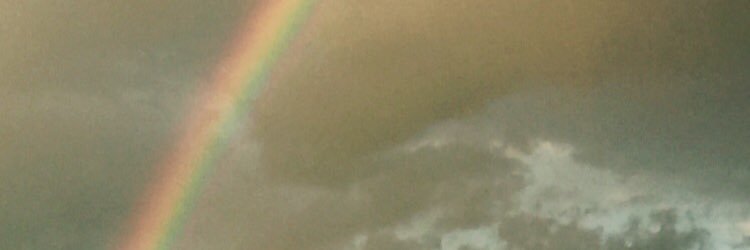VoelckerWanda's profile banner image