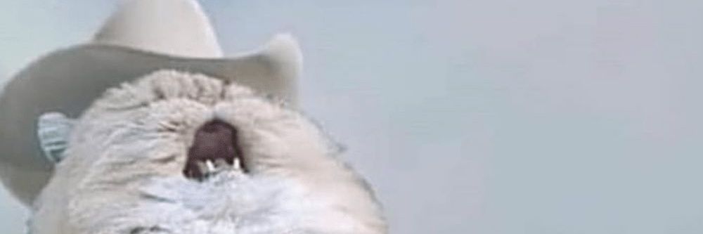 emiiawfc's profile banner image
