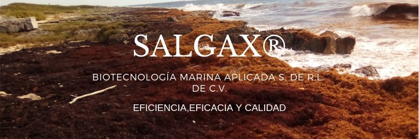 Salgax's profile banner image