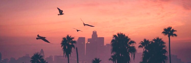 matthewj626's profile banner image