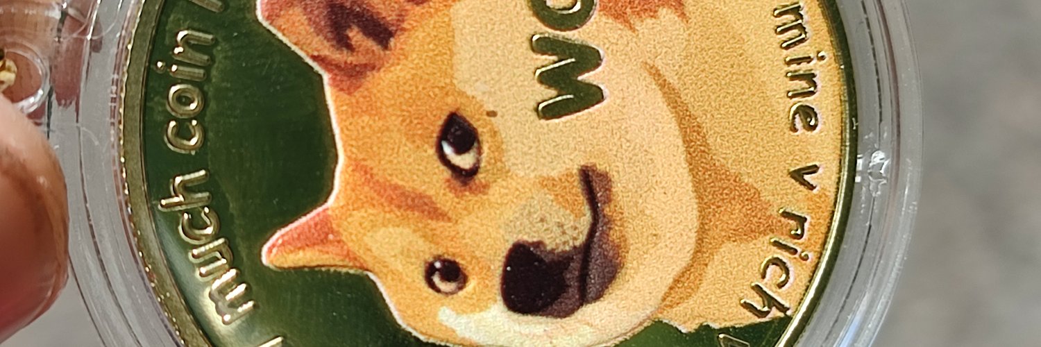 NedasNka's profile banner image