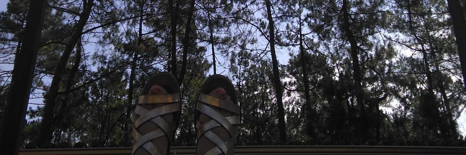 rita__barral's profile banner image