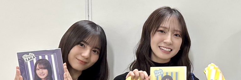 niimaruichi's profile banner image