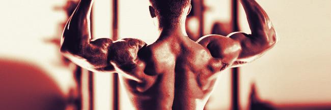 Bodybuilding banner