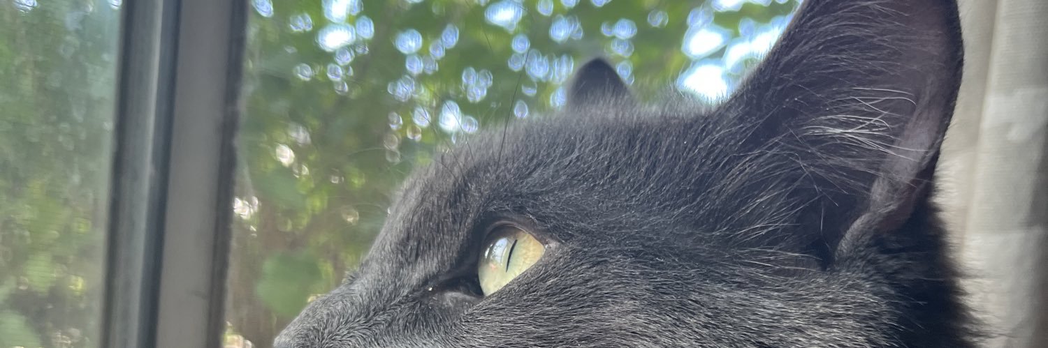 fatimaaau_'s profile banner image