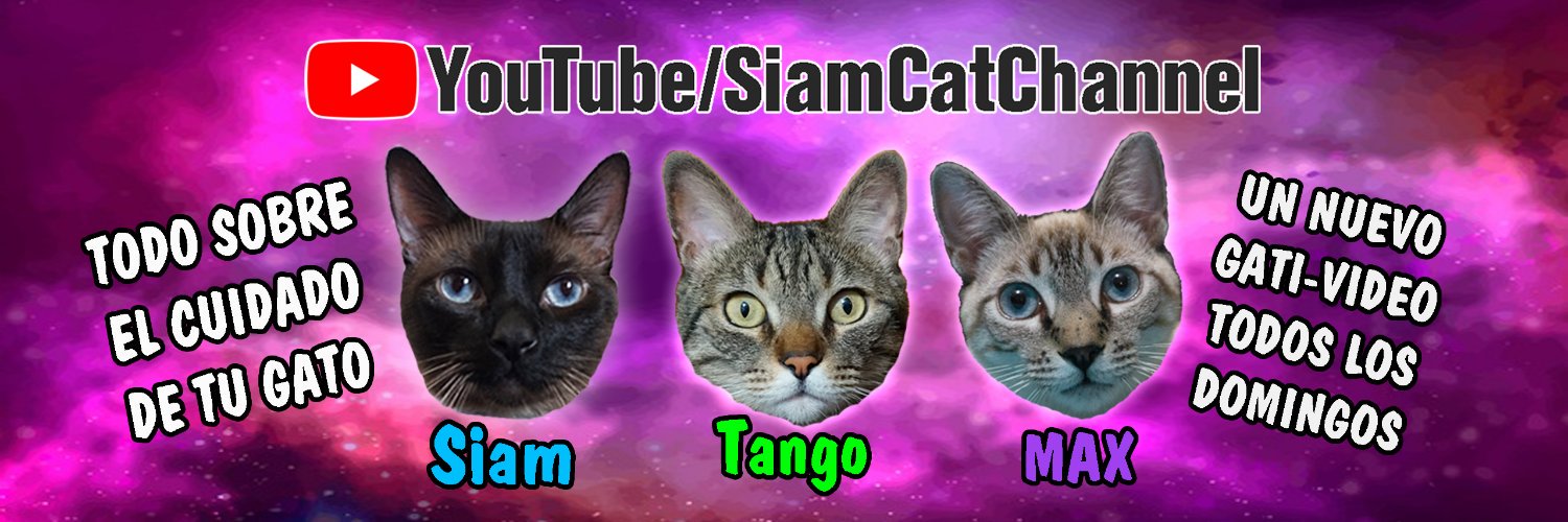 SiamCatChannel's profile banner image